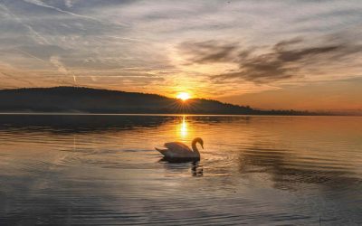 Understanding Your Inner World:  Internal Family Systems, Parts, Protection, and the Compassionate Conductor